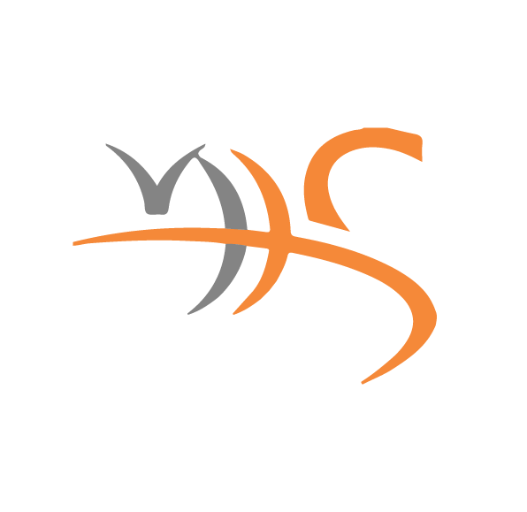 Mokes Infotech logo